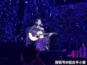 演唱会明星,演唱会明星巅峰之夜